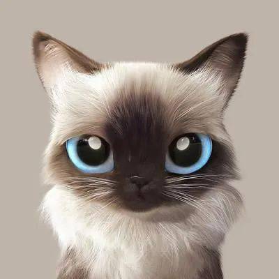 呆萌可爱猫咪宠物,大眼卡通喵星人汪星人