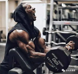 钢铁男大战肌肉侠或许这8张图片,才是健身爱好者的最爱
