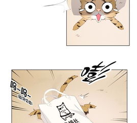 世无良猫第1话千年猫男的悲催奇遇爱奇艺漫画