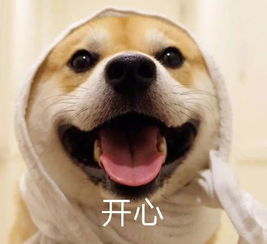 寒冷将至过冬好物必备