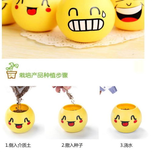 创意草头娃娃桌面迷你植物小盆栽卡通办公室室内微景青草种植表情