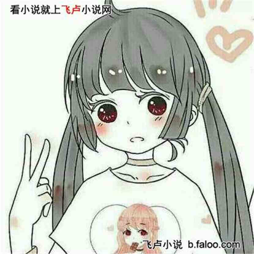 人物介绍查理九世火焰凤凰