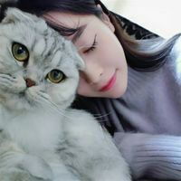 猫比人浪