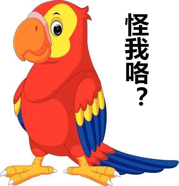 不就是养只鹦鹉凭啥抓我