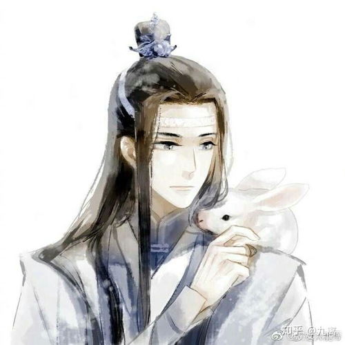 求蓝忘机和魏无羡的情头