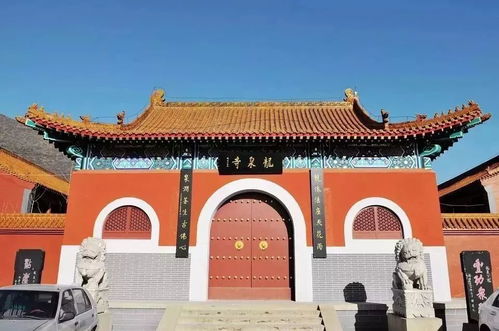 倒计时8小时,鹿泉,即将惊艳全国