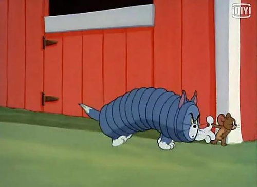 楠楠自语真人版猫和老鼠观感有时候,人显得很多余