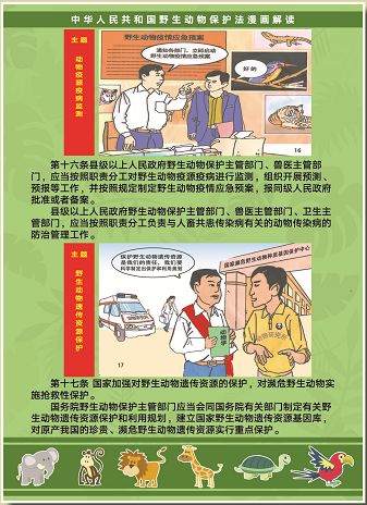 请传阅漫画图解新版野生动物保护法
