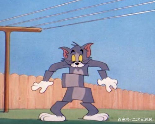 猫和老鼠不同方言版的名字,河南的太搞笑,四川的很有特色