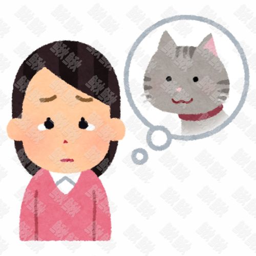 女主人思念想念丢失去世的小狗狗猫咪小猫手绘卡通插画手绘png儿童插画免扣素材1阿猫阿狗