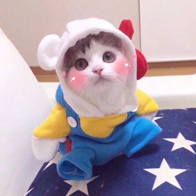 做个贼,早晨偷走你的棉被,夜晚偷走你的热吻搞笑频道