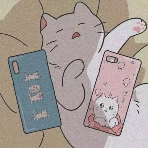 人和猫咪到底该怎么共处