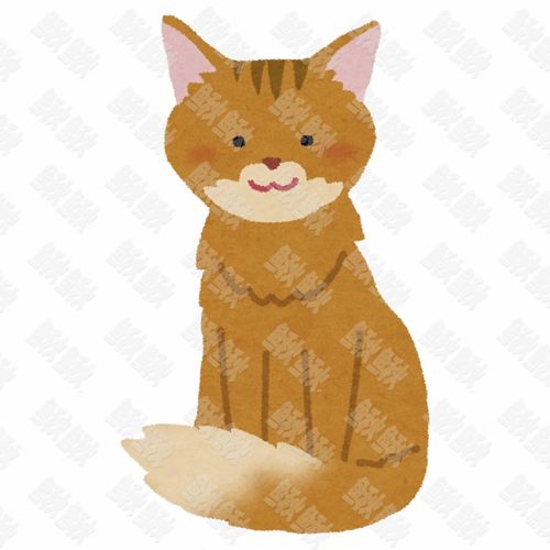 索马里猫的写实插画的小猫猫咪手绘卡通插画手绘png儿童插画免扣素材1阿猫阿狗