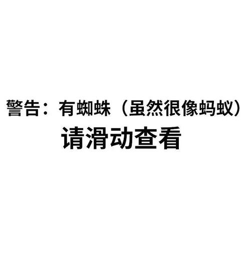 最可怕的摸头杀跳蛛给蚂蚁下了什么蛊
