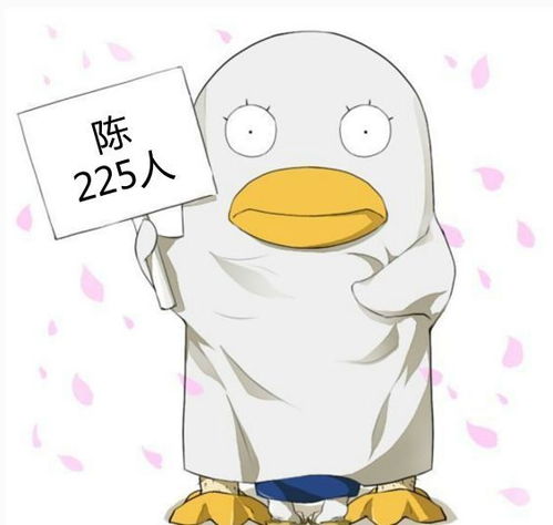浙江科技学院2018级本科新生大数据揭秘