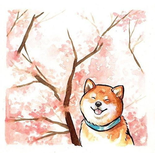 今天起,床以外都是远方科技频道