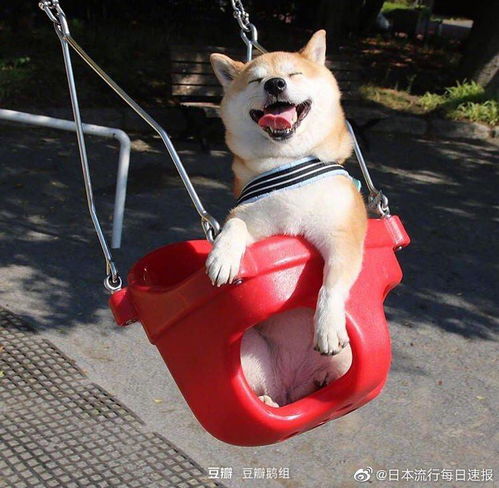 写不出文章