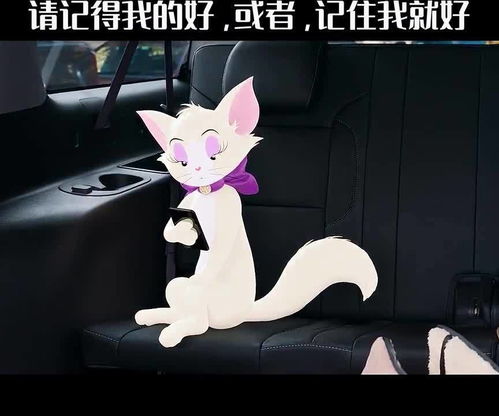 请记得我的好,或者,记住我就好猫和老鼠动画伤感歌曲礼貌