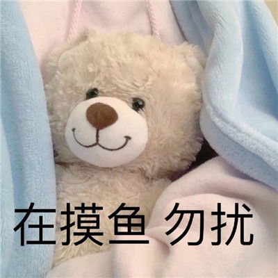 读书人学习的可爱表情包一心向学的可爱表情大全