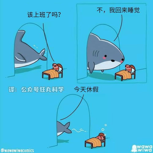 小鲨鱼和朋友们的温馨日常,海洋主题治愈漫画集