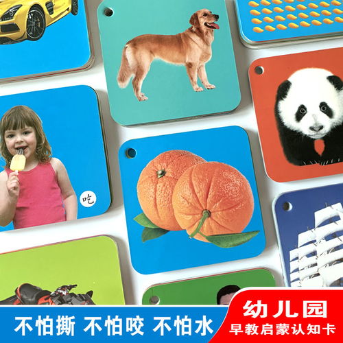 宝宝06岁拼音识字学习有图早教动物看图数字撕不烂认知启蒙卡片