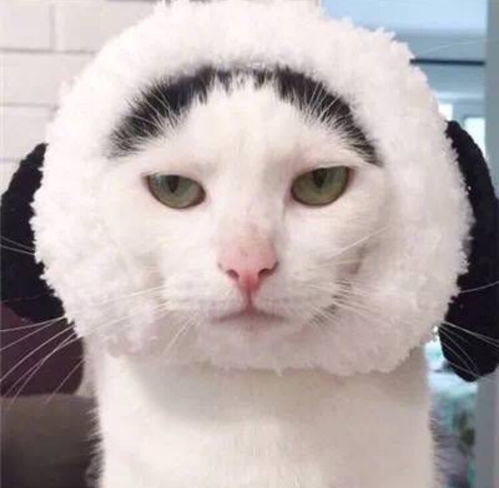 当我独处时候,我在想什么