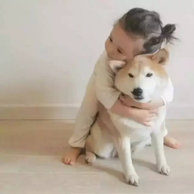 生个萝莉养条狗,此生无所求