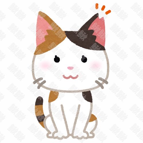 耳朵上有缺角表示已经绝育的小猫猫咪手绘卡通插画手绘png儿童插画免扣素材1阿猫阿狗