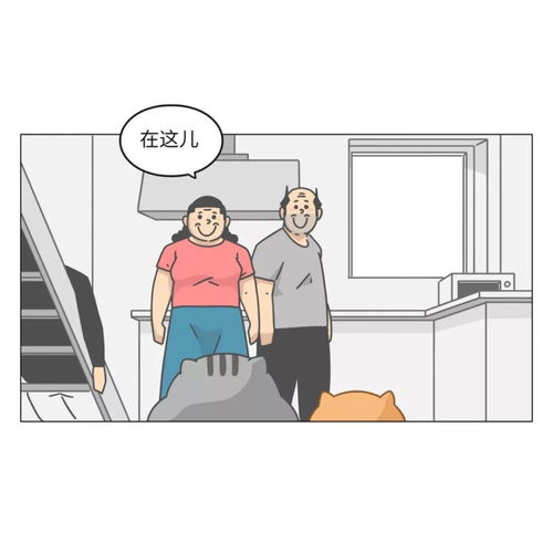 人性猎奇漫画,痴迷于撸猫的老爸老妈