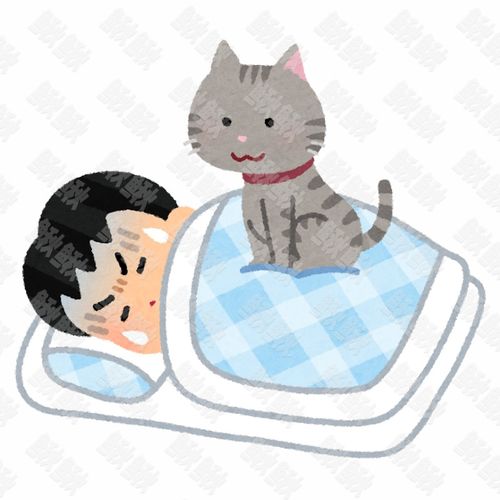晚上睡觉喜欢躺在主人男被窝上压着主人的小猫猫咪手绘卡通插画手绘png儿童插画免扣素材1阿猫阿狗