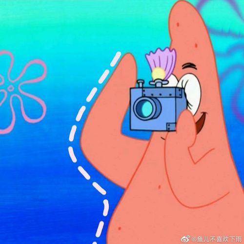 有哪些海绵宝宝的头像