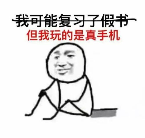 高中生学习专用表情包,是学霸就进来收图
