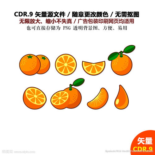 手绘桔子水果橘子矢量图标图片