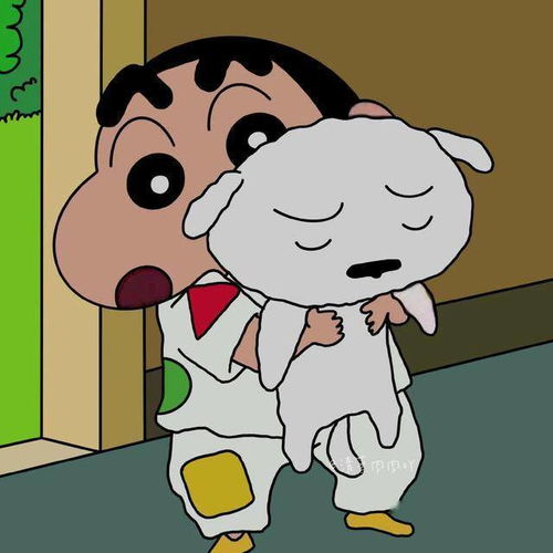 头像二百五十三期
