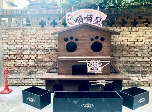 猫街区2.0版来了解放门街道探索老旧街区有机更新改造