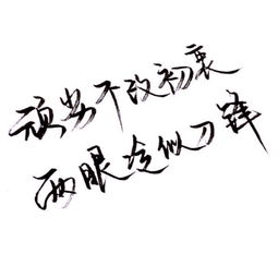 手写文字白底极简可爱雯.喜欢就点堆糖,美好生活研究所