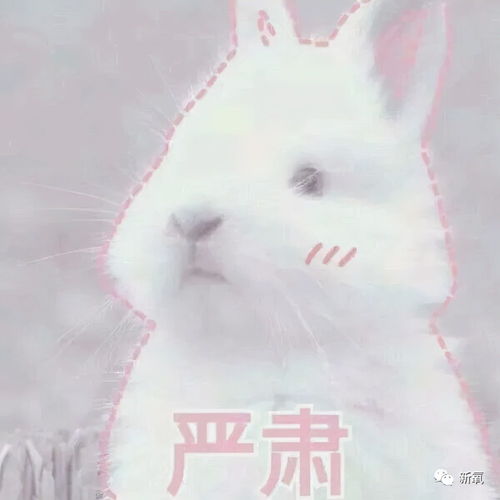 怀孕到底会给女性带来什么变化如何通过医美改善