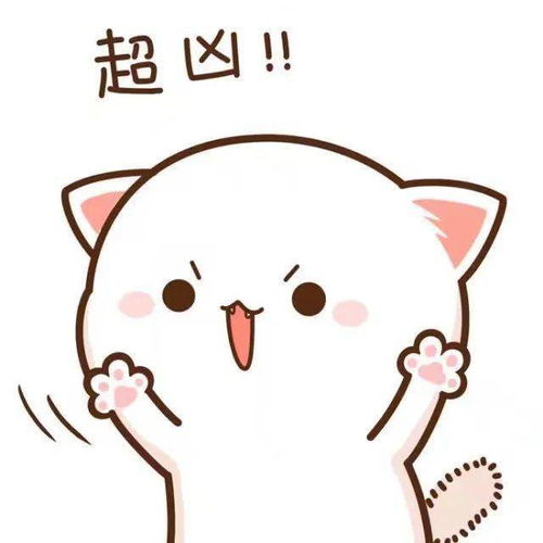 蜜桃猫情头