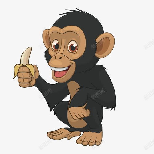 卡通版吃香蕉的猴子高清素材设计图片页面网页平面电商创意素材png素材香蕉素材