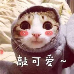 国家发布重磅消息还没生孩子的茂名人恭喜了