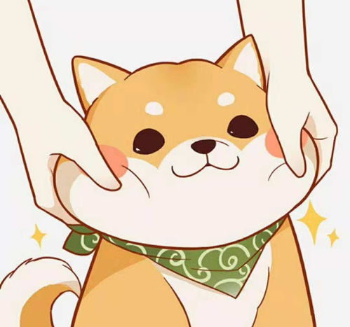 2019苏州购房新政
