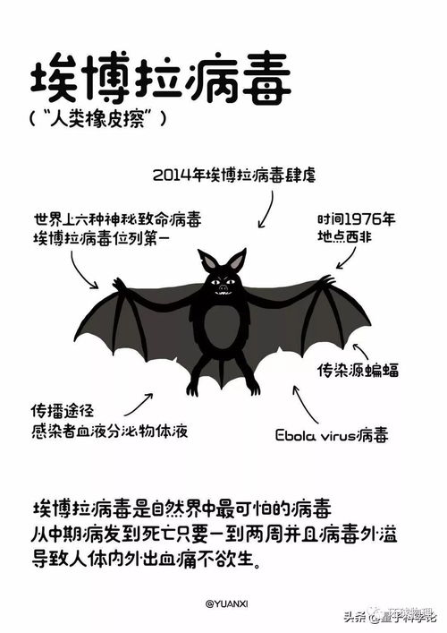 历年世界各地的瘟疫,人们都是怎么战胜的漫画