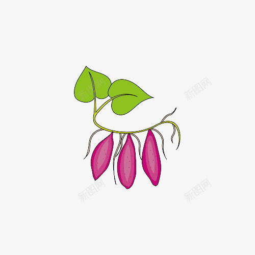 卡通一串新鲜红薯插画元素免抠png设计图片免费下载页面网页平面电商创意素材地瓜素材