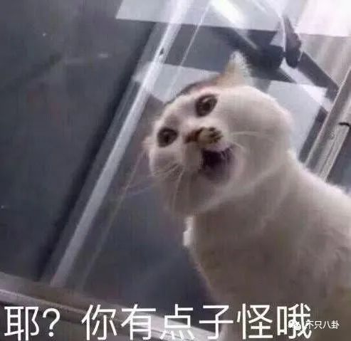 男方曾言语侮辱女方女方出轨被拍所以福原爱江宏杰是真离了