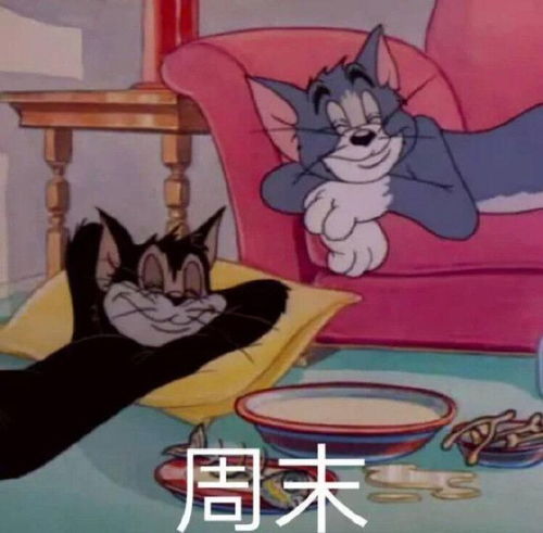 当代沙雕发朋友圈必备的搞笑文案
