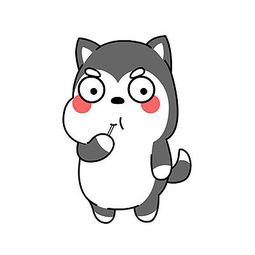 小孔家来啦