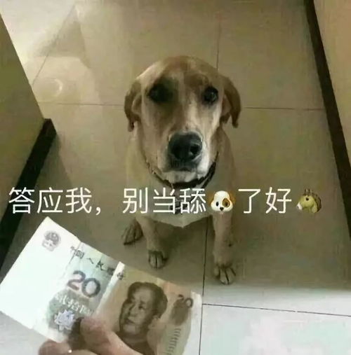美国说唱歌手发歌辱华,却有人说我们玻璃心