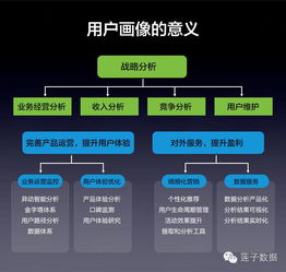用户画像全解析都在说用户画像,你真的了解透了吗
