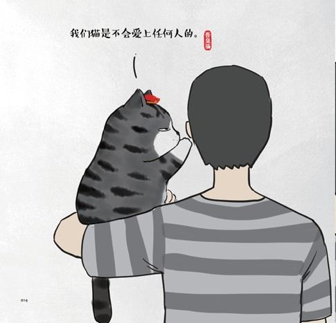 吾皇猫上新青年漫画家白茶出新作