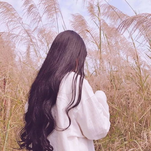 3.20小头像壁纸